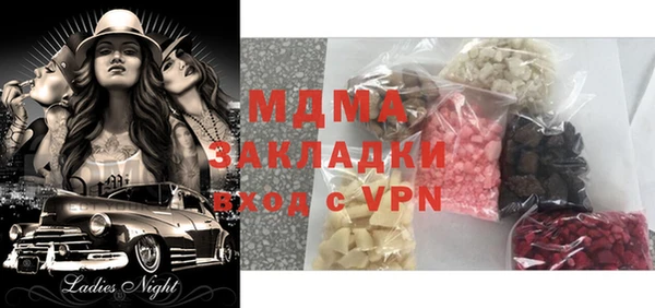 шишки Няндома