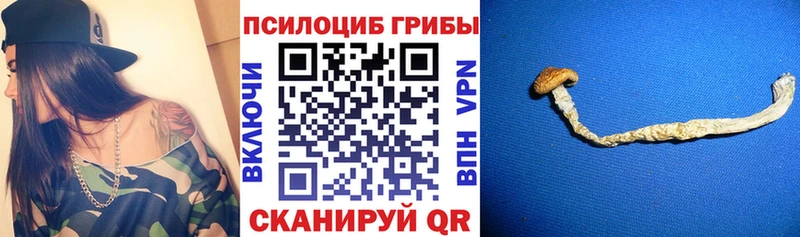 Галлюциногенные грибы GOLDEN TEACHER Судогда